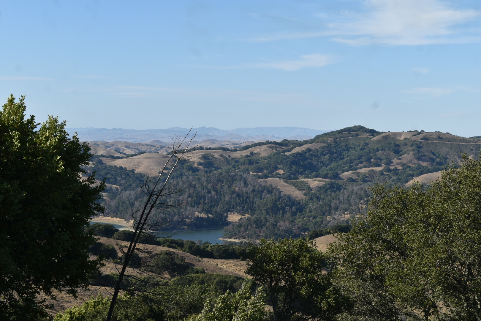 View from this hike: San Pablo Reservoir from Inspiration Point.