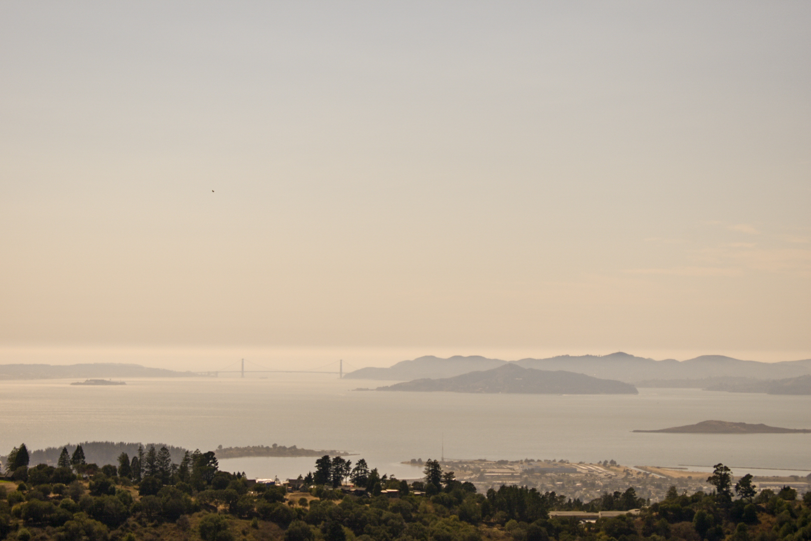 View of San Francisco Bay at the end of the hike