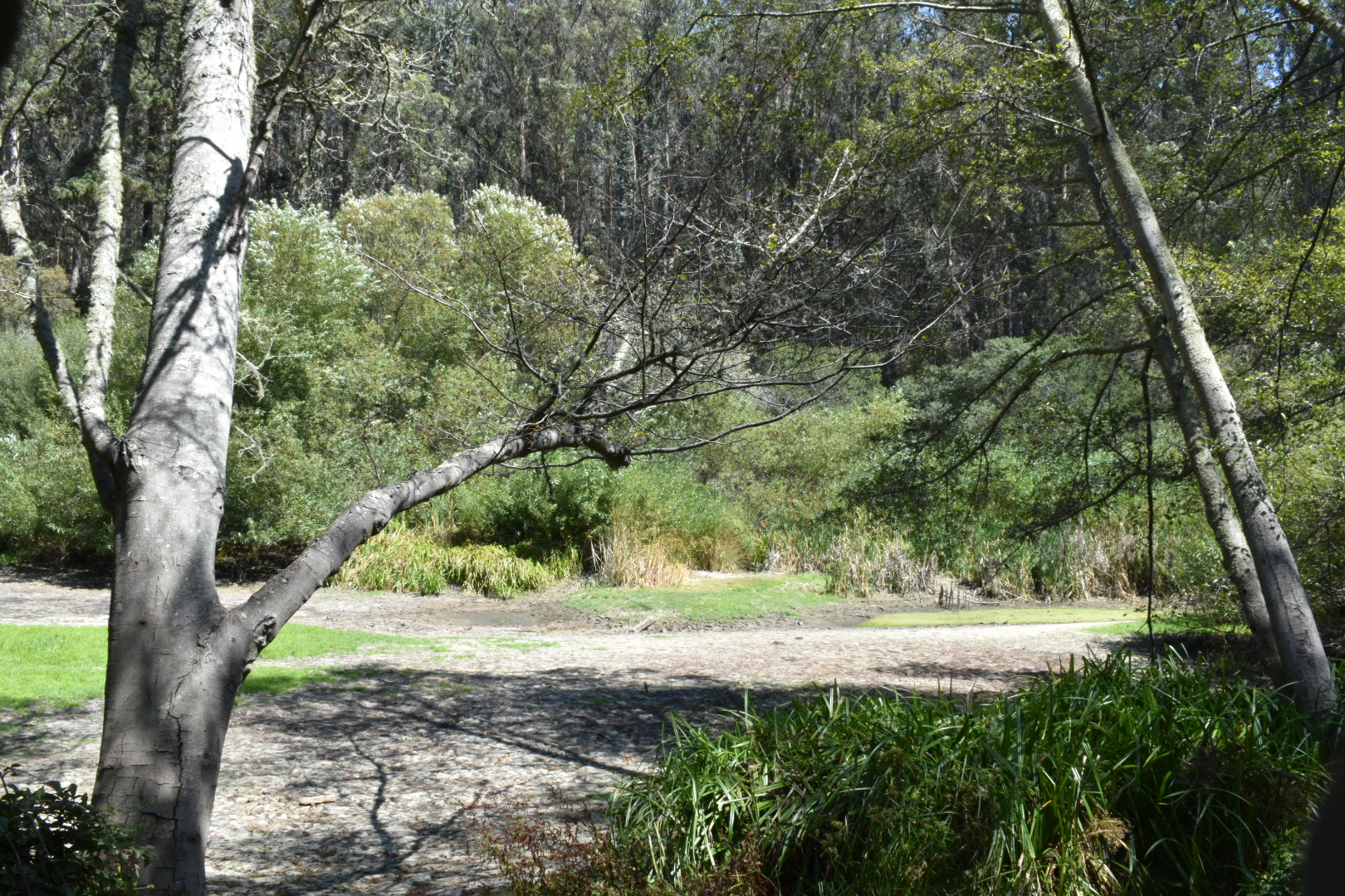 Jewel Lake is dry
