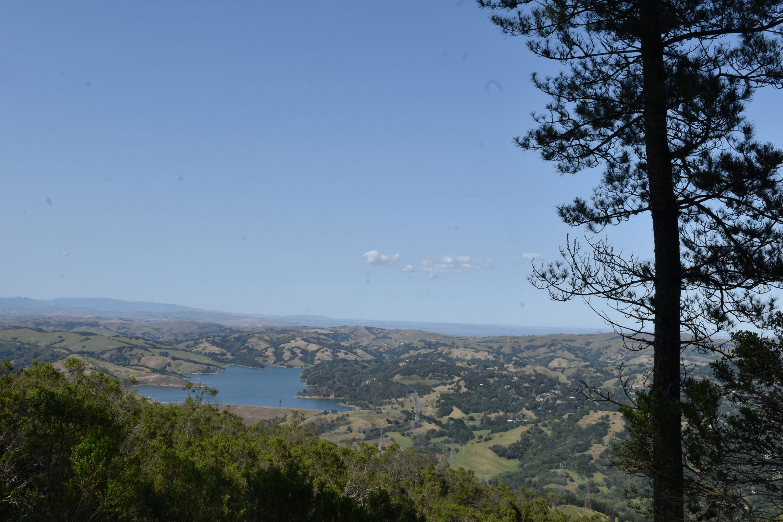 View of Briones Reservoir from this week's hike