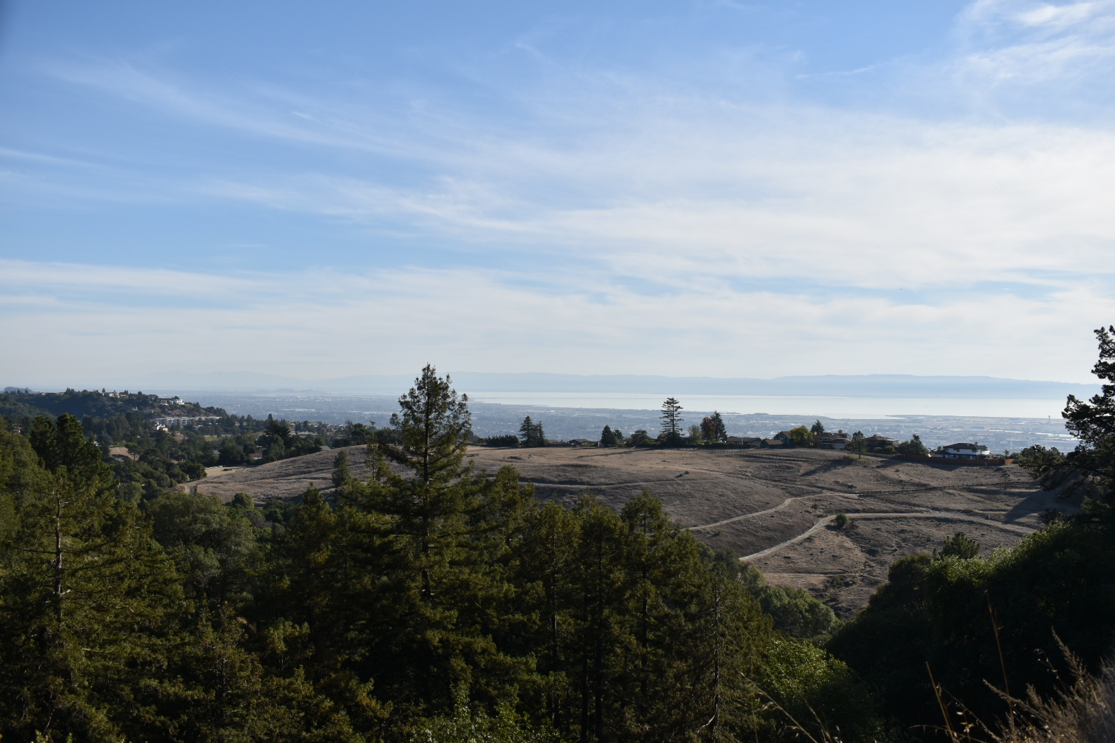 View of the Bay from the Graham Trail after the big trees cleared.